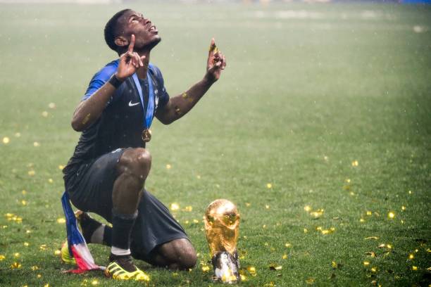 培养也将降 培养也将降